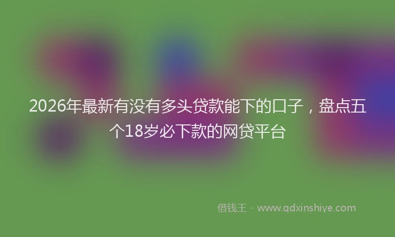 2026年最新有没有多头贷款能下的口子，盘点五个18岁必下款的网贷平台