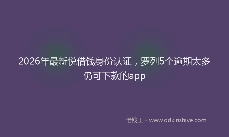 2026年最新悦借钱身份认证,罗列5个逾期太多仍可下款的app