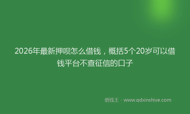 2026年最新押呗怎么借钱，概括5个20岁可以借钱平台不查征信的口子