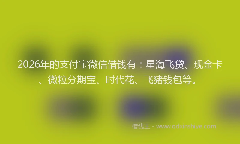2026年的支付宝微信借钱有：星海飞贷、现金卡、微粒分期宝、时代花、飞猪钱包等。