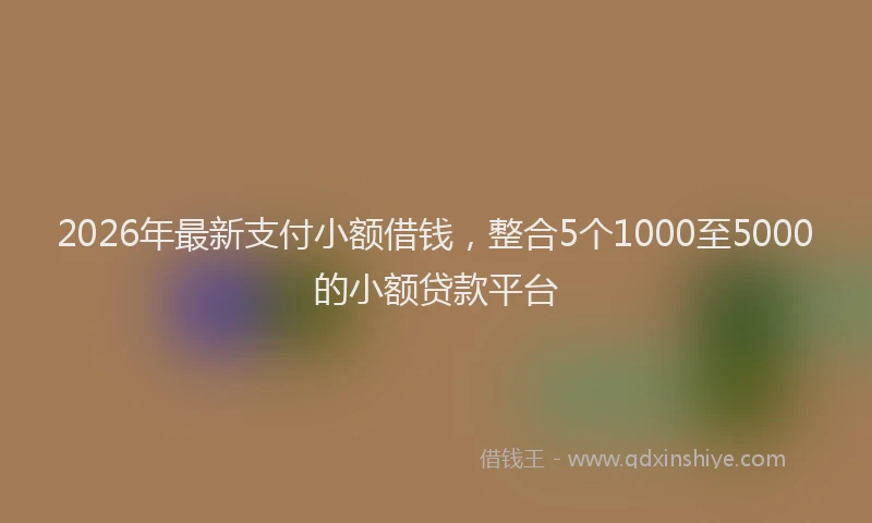 2026年最新支付小额借钱，整合5个1000至5000的小额贷款平台