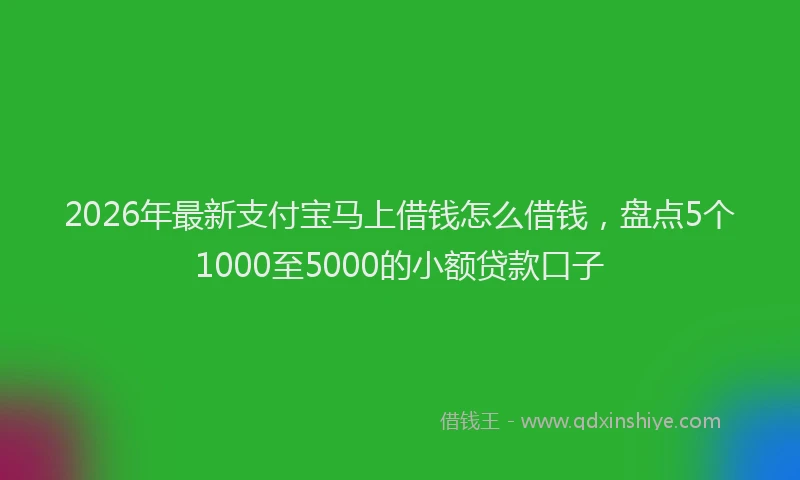 2026年最新支付宝马上借钱怎么借钱，盘点5个1000至5000的小额贷款口子