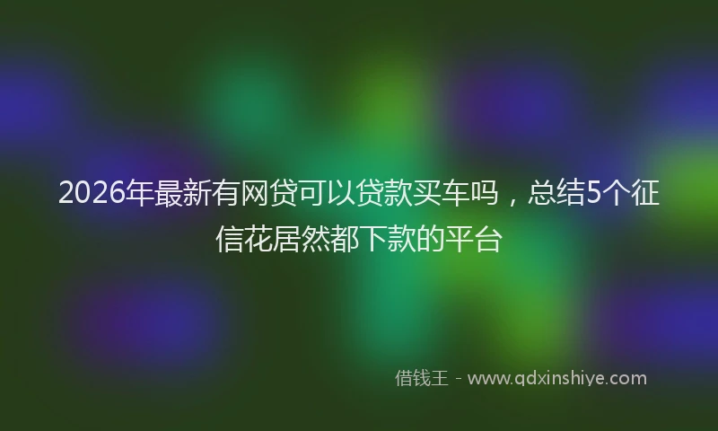 2026年最新有网贷可以贷款买车吗，总结5个征信花居然都下款的平台