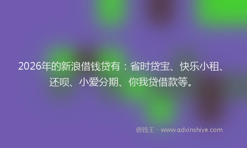 2026年的新浪借钱贷有：省时贷宝、快乐小租、还呗、小爱分期、你我贷借款等。