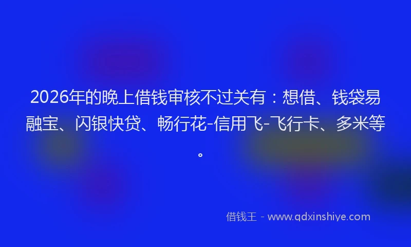 2026年的晚上借钱审核不过关有：想借、钱袋易融宝、闪银快贷、畅行花-信用飞-飞行卡、多米等。