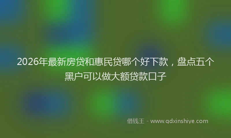 2026年最新房贷和惠民贷哪个好下款，盘点五个黑户可以做大额贷款口子
