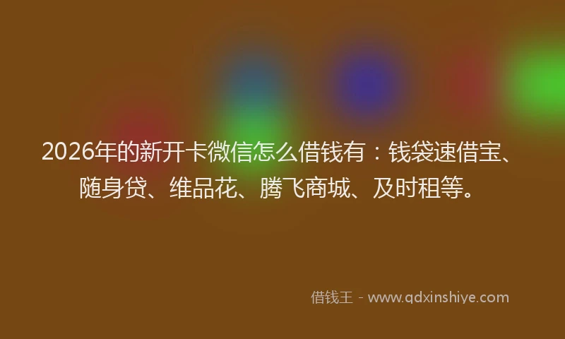2026年的新开卡微信怎么借钱有：钱袋速借宝、随身贷、维品花、腾飞商城、及时租等。