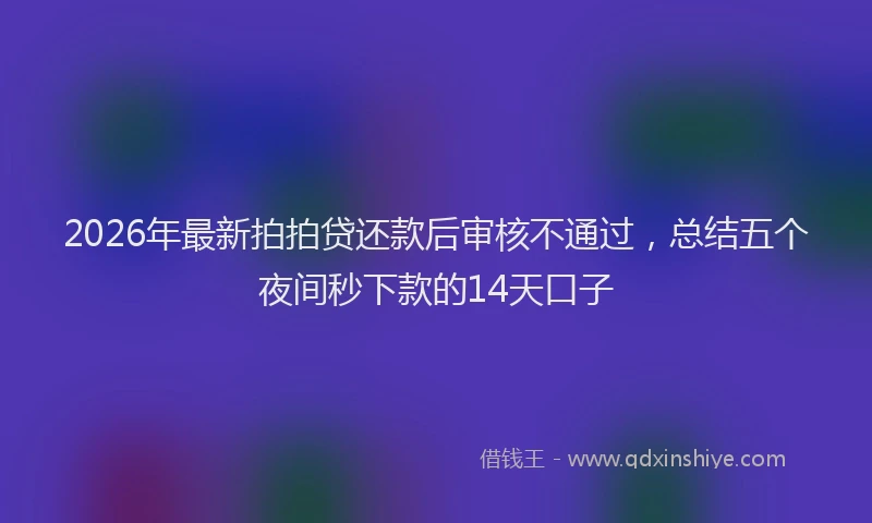 2026年最新拍拍贷还款后审核不通过，总结五个夜间秒下款的14天口子