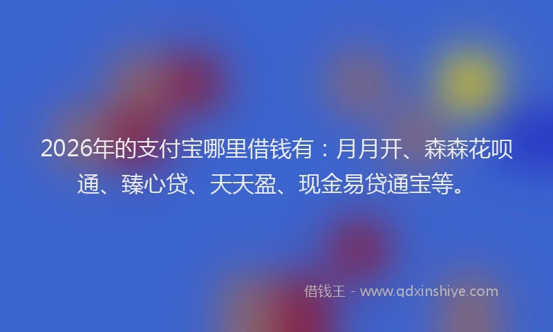 2026年的支付宝哪里借钱有：月月开、森森花呗通、臻心贷、天天盈、现金易贷通宝等。