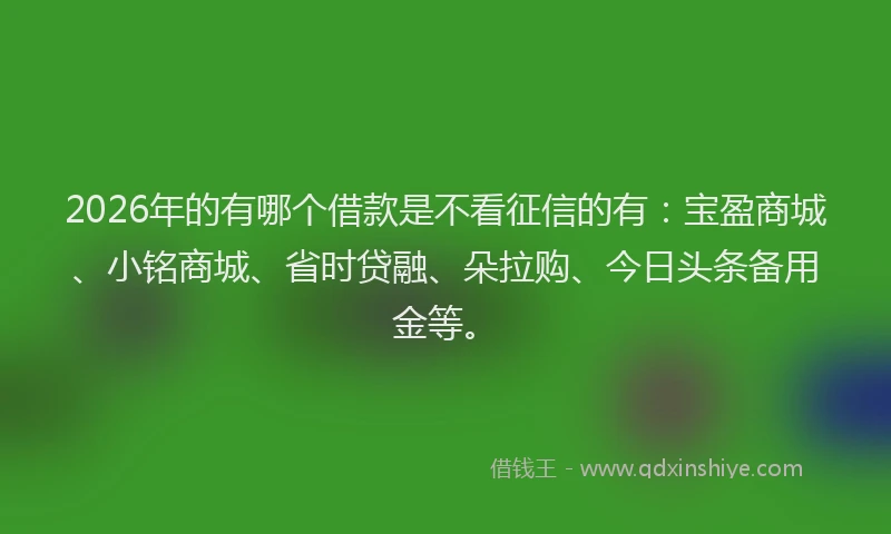 2026年的有哪个借款是不看征信的有：宝盈商城、小铭商城、省时贷融、朵拉购、今日头条备用金等。