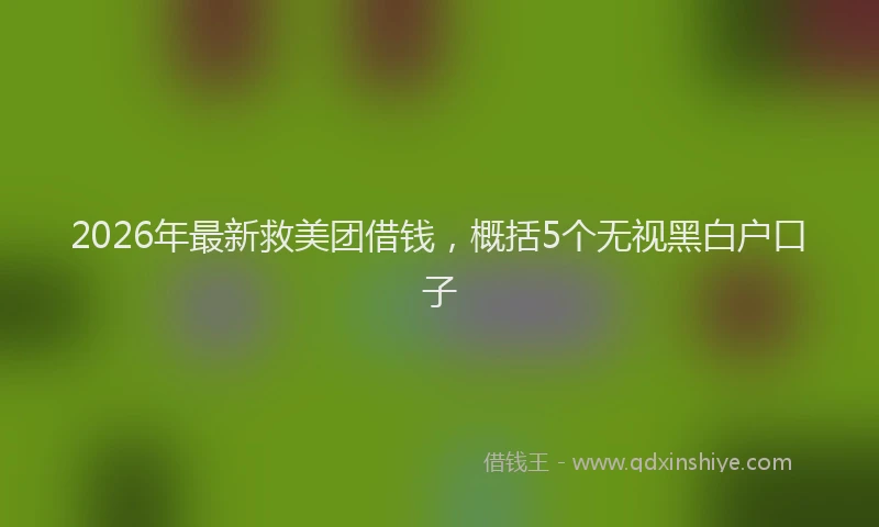 2026年最新救美团借钱，概括5个无视黑白户口子