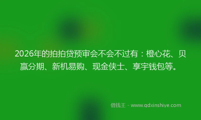 2026年的拍拍贷预审会不会不过有：橙心花、贝赢分期、新机易购、现金侠士、享宇钱包等。