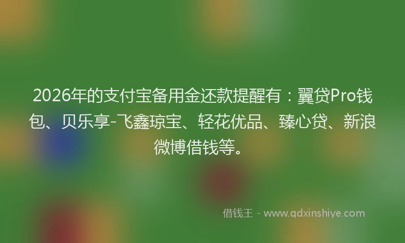2026年的支付宝备用金还款提醒有：翼贷Pro钱包、贝乐享-飞鑫琼宝、轻花优品、臻心贷、新浪微博借钱等。