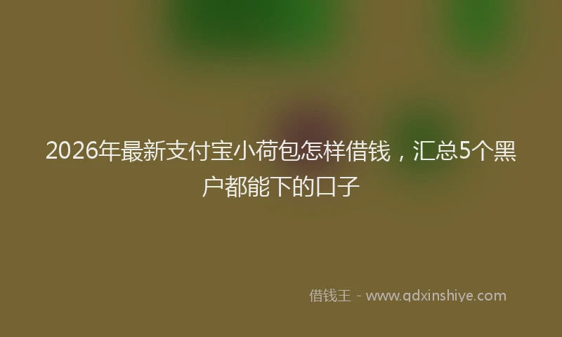 2026年最新支付宝小荷包怎样借钱，汇总5个黑户都能下的口子