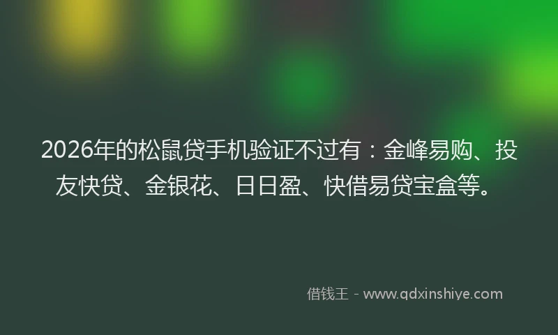 2026年的松鼠贷手机验证不过有：金峰易购、投友快贷、金银花、日日盈、快借易贷宝盒等。