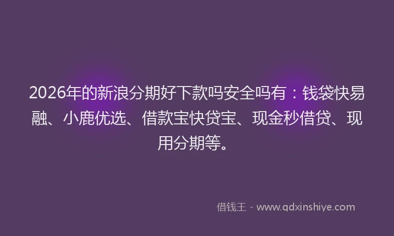 2026年的新浪分期好下款吗安全吗有：钱袋快易融、小鹿优选、借款宝快贷宝、现金秒借贷、现用分期等。