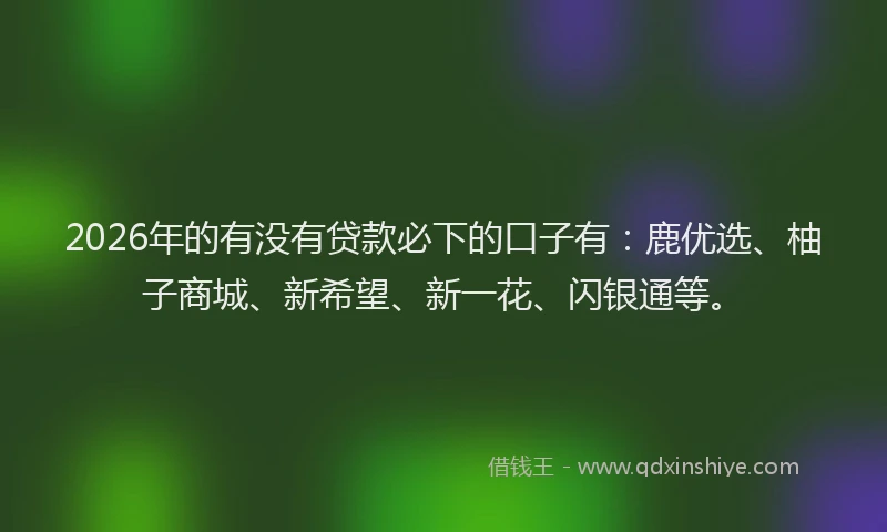 2026年的有没有贷款必下的口子有：鹿优选、柚子商城、新希望、新一花、闪银通等。