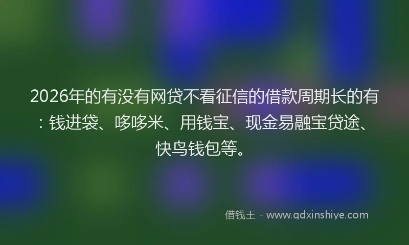 2026年的有没有网贷不看征信的借款周期长的有：钱进袋、哆哆米、用钱宝、现金易融宝贷途、快鸟钱包等。