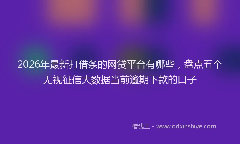2026年最新打借条的网贷平台有哪些，盘点五个无视征信大数据当前逾期下款的口子