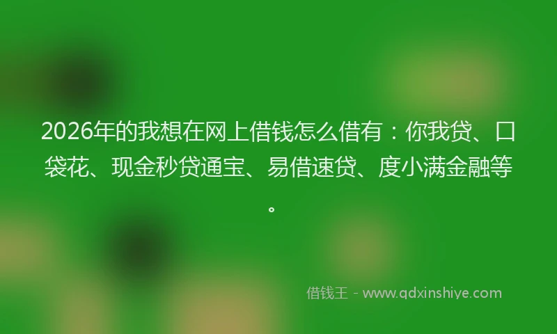 2026年的我想在网上借钱怎么借有：你我贷、口袋花、现金秒贷通宝、易借速贷、度小满金融等。