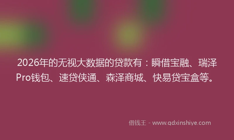 2026年的无视大数据的贷款有：瞬借宝融、瑞泽Pro钱包、速贷侠通、森泽商城、快易贷宝盒等。