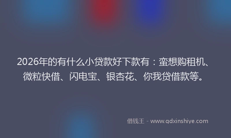 2026年的有什么小贷款好下款有：蛮想购租机、微粒快借、闪电宝、银杏花、你我贷借款等。