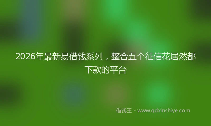 2026年最新易借钱系列，整合五个征信花居然都下款的平台