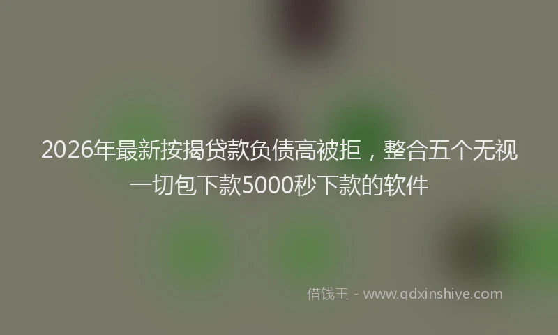 2026年最新按揭贷款负债高被拒，整合五个无视一切包下款5000秒下款的软件