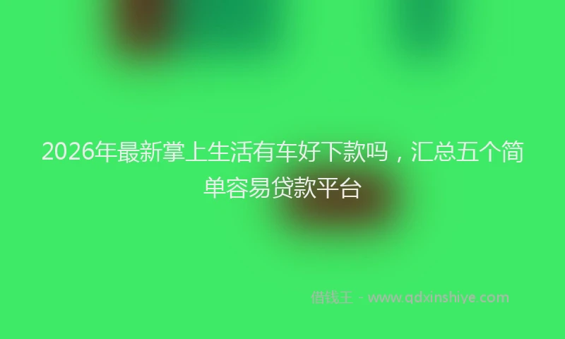 2026年最新掌上生活有车好下款吗，汇总五个简单容易贷款平台