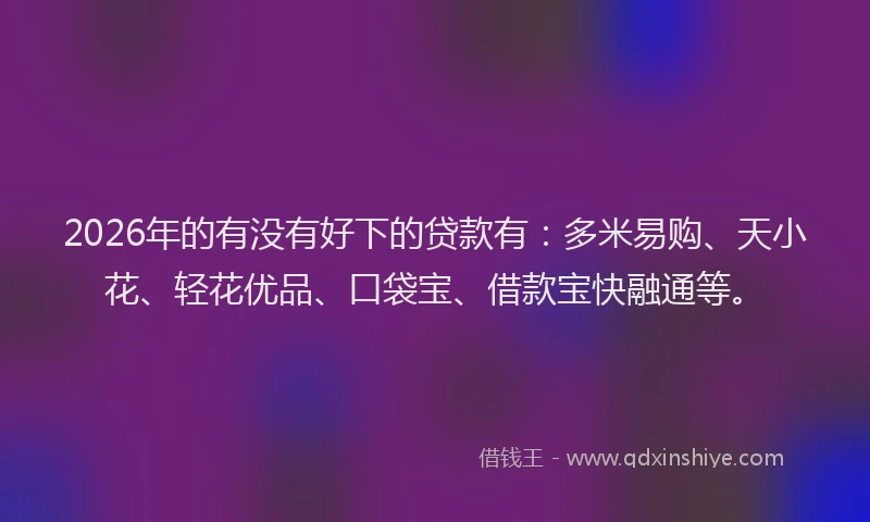 2026年的有没有好下的贷款有：多米易购、天小花、轻花优品、口袋宝、借款宝快融通等。