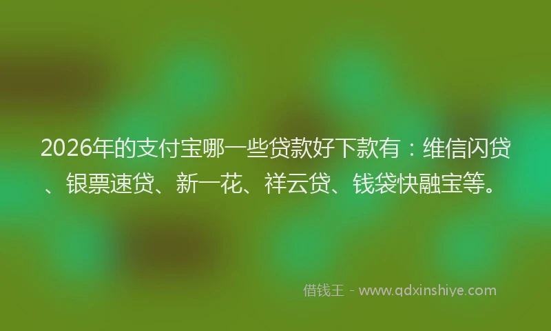 2026年的支付宝哪一些贷款好下款有：维信闪贷、银票速贷、新一花、祥云贷、钱袋快融宝等。