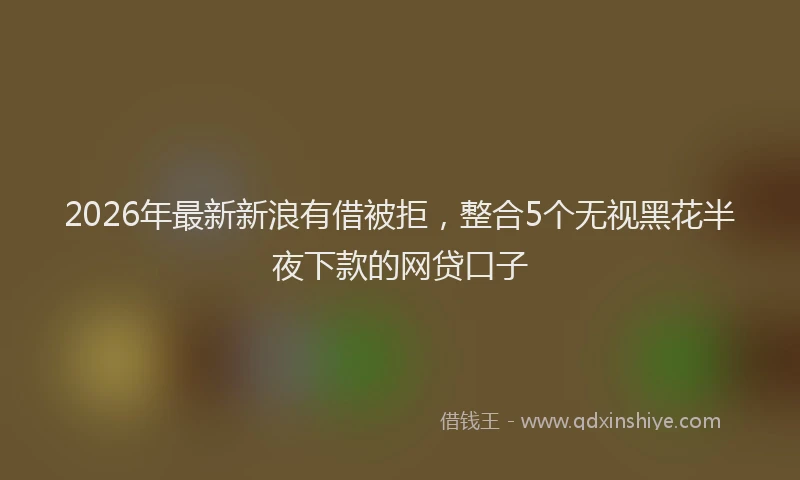 2026年最新新浪有借被拒，整合5个无视黑花半夜下款的网贷口子