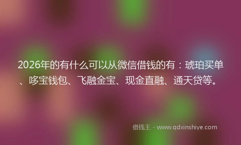2026年的有什么可以从微信借钱的有：琥珀买单、哆宝钱包、飞融金宝、现金直融、通天贷等。