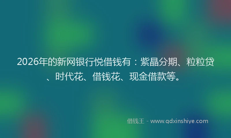 2026年的新网银行悦借钱有：紫晶分期、粒粒贷、时代花、借钱花、现金借款等。