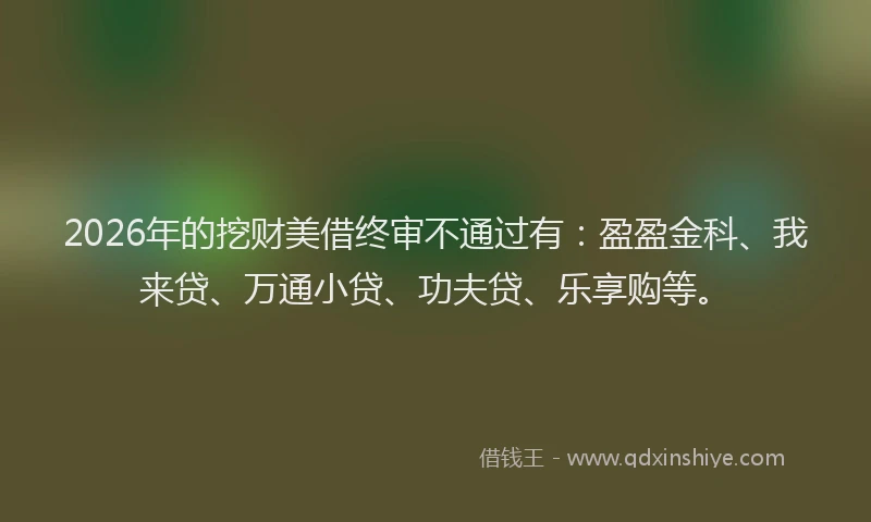 2026年的挖财美借终审不通过有：盈盈金科、我来贷、万通小贷、功夫贷、乐享购等。