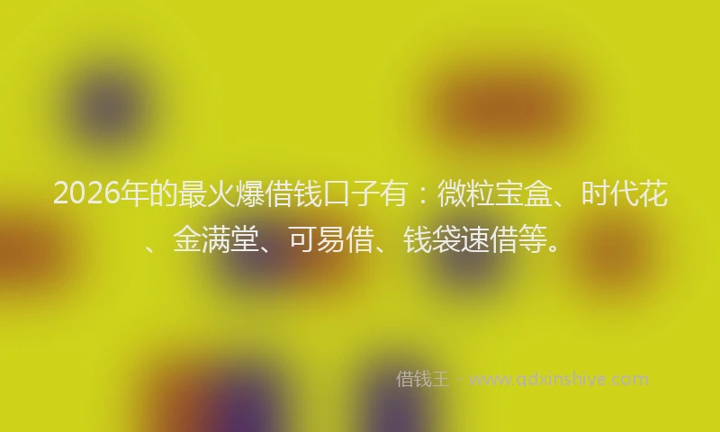 2026年的最火爆借钱口子有：微粒宝盒、时代花、金满堂、可易借、钱袋速借等。
