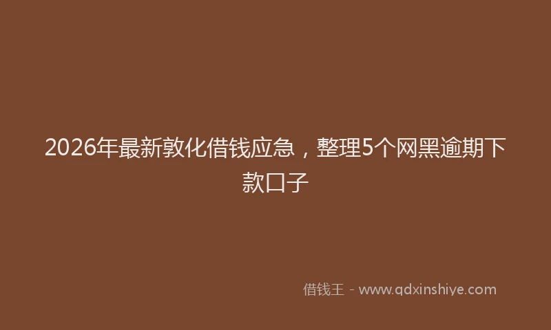 2026年最新敦化借钱应急，整理5个网黑逾期下款口子