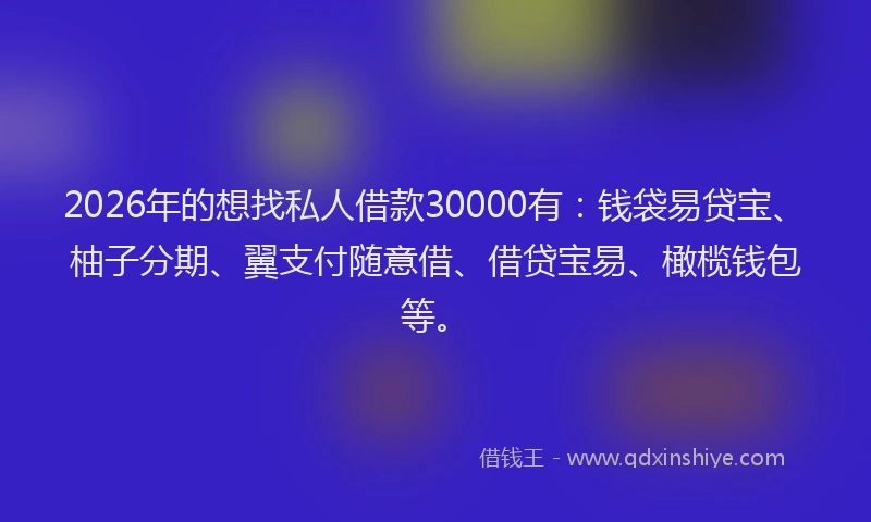 2026年的想找私人借款30000有：钱袋易贷宝、柚子分期、翼支付随意借、借贷宝易、橄榄钱包等。
