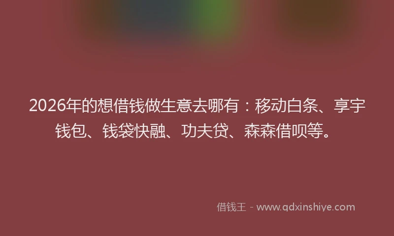 2026年的想借钱做生意去哪有：移动白条、享宇钱包、钱袋快融、功夫贷、森森借呗等。