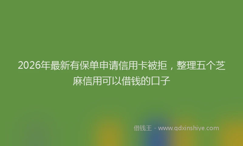 2026年最新有保单申请信用卡被拒，整理五个芝麻信用可以借钱的口子