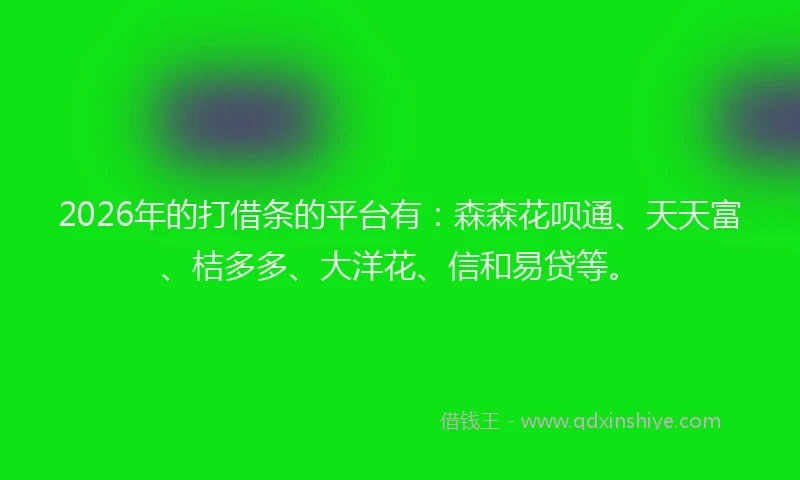 2026年的打借条的平台有：森森花呗通、天天富、桔多多、大洋花、信和易贷等。