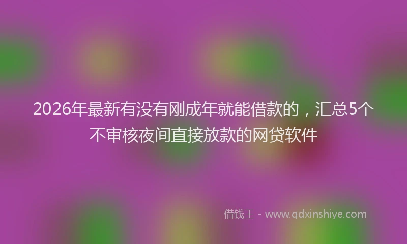 2026年最新有没有刚成年就能借款的，汇总5个不审核夜间直接放款的网贷软件