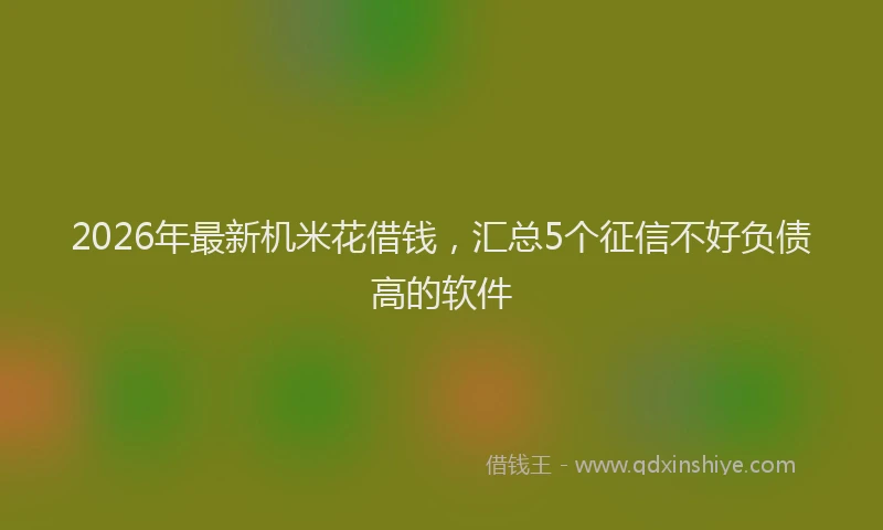 2026年最新机米花借钱，汇总5个征信不好负债高的软件