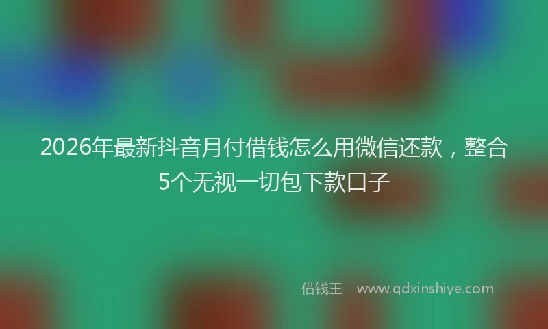 2026年最新抖音月付借钱怎么用微信还款，整合5个无视一切包下款口子