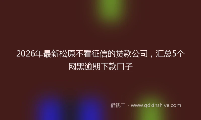 2026年最新松原不看征信的贷款公司，汇总5个网黑逾期下款口子
