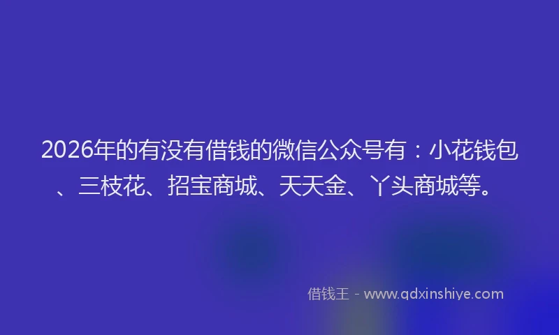 2026年的有没有借钱的微信公众号有：小花钱包、三枝花、招宝商城、天天金、丫头商城等。