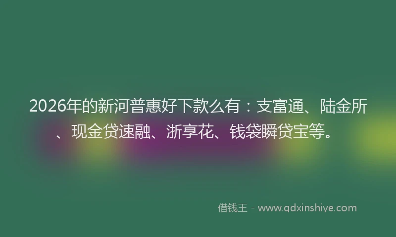 2026年的新河普惠好下款么有：支富通、陆金所、现金贷速融、浙享花、钱袋瞬贷宝等。