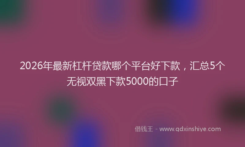 2026年最新杠杆贷款哪个平台好下款，汇总5个无视双黑下款5000的口子