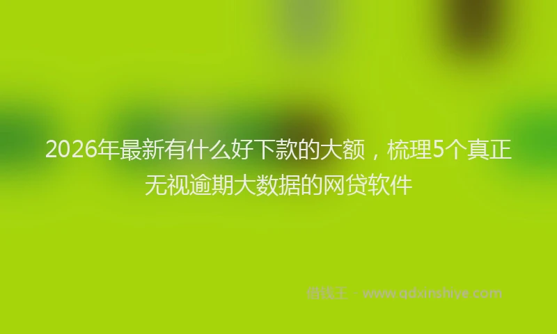 2026年最新有什么好下款的大额，梳理5个真正无视逾期大数据的网贷软件