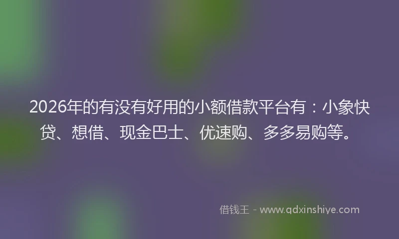 2026年的有没有好用的小额借款平台有：小象快贷、想借、现金巴士、优速购、多多易购等。
